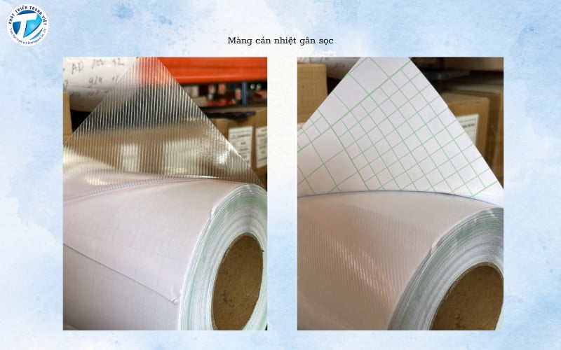 Mẫu màng cán nhiệt gân sọc